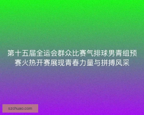 第十五届全运会群众比赛气排球男青组预赛火热开赛展现青春力量与拼搏风采